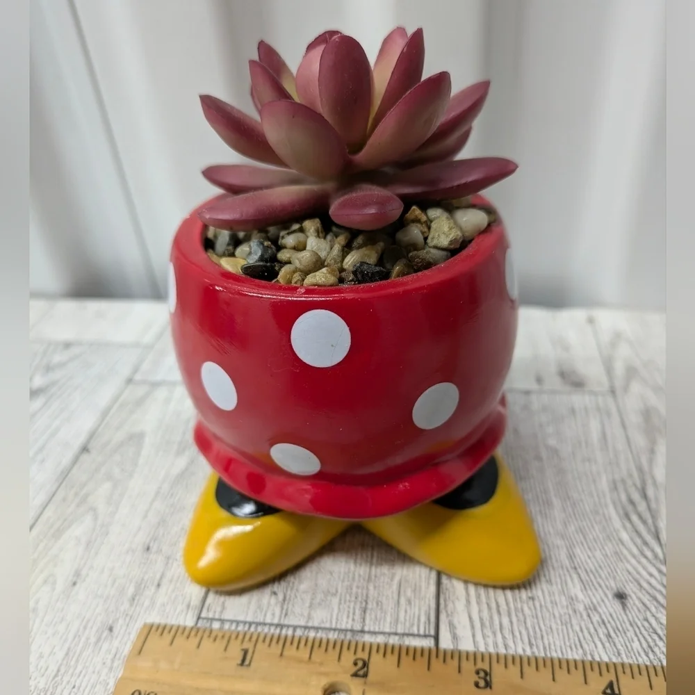 Disney Red Polka Dot Planter with Succulent